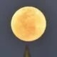 Super Flower Moon 2020: आज दिखाई देगा साल का आखिरी सुपरमून, कुछ ऐसा दिखेगा चांद