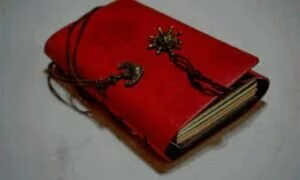 Lal Kitab Upay: करें लाल किताब के ये उपाय, धन लाभ के साथ जागेगी सोई हुई किस्मत