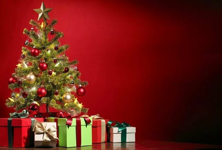 Christmas 2021 Vastu Tips: क्रिसमस पर घर में लगा रहे हैं क्रिसमस ट्री, तो इन वास्तु नियमों का रखें ध्यान