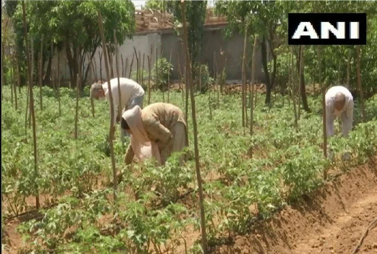 खेती-किसानी को प्रोत्साहन: बजट में किसानों को 18.5 लाख करोड़ रुपये दे सकती है सरकार