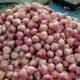 Onion Buffer Stock: प्याज की कीमतों पर लगाम लगाएगी केंद्र सरकार, राज्यों को जारी किया बफर स्टॉक