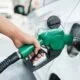 Petrol Diesel Price : तेल कंपनियों ने जारी किए पेट्रोल और डीजल के दाम, जानें कितनी हैं आज कीमतें